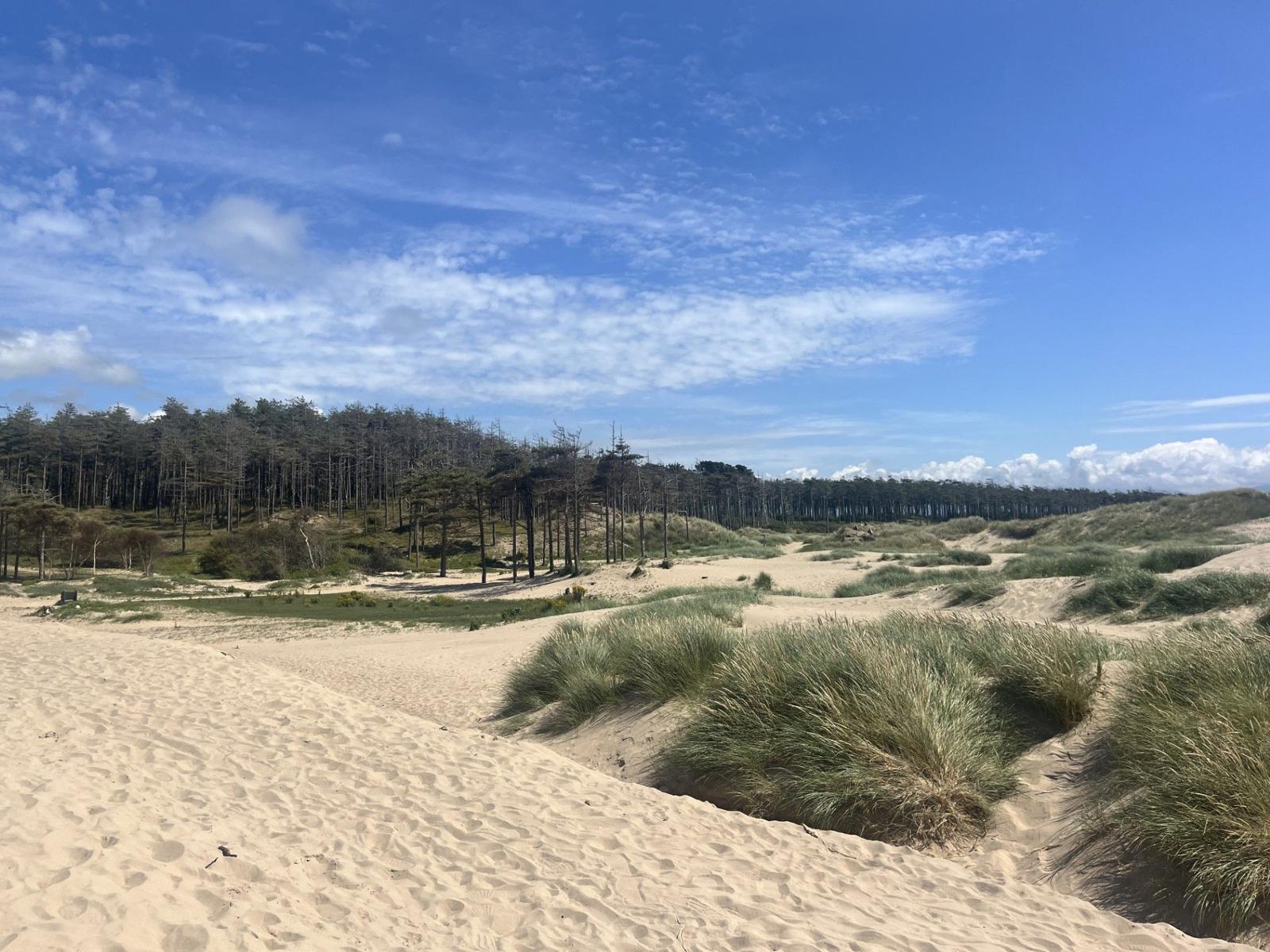 Landscape Memory project